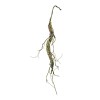 Mossy Twig Garland (Set of 2)