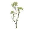 Queen Anne s Lace Floral Spray (Set of 4)