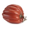 Rustic Ribbed Decorative Pumpkin 12.5"H