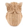 Woven Look Owl Figurines (Set of 2)