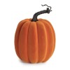 Velvet Textured Pumpkin D cor (Set of 3)