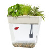Back to the Roots Grow Kit - 9.5 x 13.5 x 13.5 in.