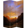 Screen Gems Desert Screen