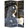 Screen Gems 48 W x 72 H Rome Screen
