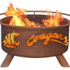 Patina Products Washington State University Fire Pit
