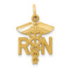 Finest Gold 15 x 25 mm 14K Yellow Gold Nurse Charm