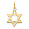 Finest Gold 14 x 21 mm 14K Yellow Gold Star of David Pendant