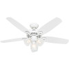 Hunter Fan Htr53236 Hunter Fan 52&Quot; Architect Series Plus (White)