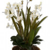 212 Main 60039 Moth Orchid Planter - Polyester-Plastic