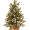 National Tree 4 ft. Golden Bristle Entrance Artificial Tree with 100 Clear Lights