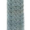 Mazeland Poultry Netting - 60 x 1 in. - 150 ft.