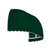 Awntech 3.38 ft. Chicago Window & Entry Awning, Forest Green - 31 x 24 in.