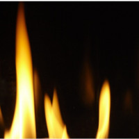 Majestic Hearthbrick and Top  contribute to the efficiency and aesthetics of the fireplace.