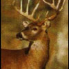 7 Feet x100 Feet Deer Fence Netting