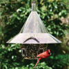 Mandarin Feeder - New Arch Ports
