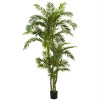 6&rsquo; Curvy Parlor Palm Silk Tree