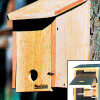 Cedar Winter ing Box