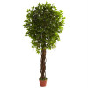 7.5 ft. Ficus Tree UV Resistant - Indoor-Outdoor