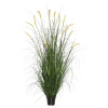 60 in. Foxtail Grass in Pot Green