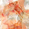 Empire Art Direct Frameless Free Floating Tempered Glass Art by EAD Art Coop - Coral Lace 1