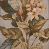 Nourison 81799 Tropics Area Rug Collection Beige 3 ft 6 in. x 5 ft 6 in. Rectangle
