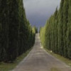 Road Tuscany Italy Poster Print by - 36 x 12