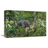 Global Gallery 12 x 18 in. Asian Elephant Working in Rainforest Havelock Island India Art Print - Konrad Wothe