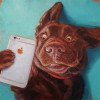Dog Selfie by Lucia Heffernan Premium Gallery-Wrapped Canvas Giclee Art - Medium Ready to Hang 16 x 16 x 1.5 in.