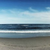 Seagull standing on a wooden post at Fort Tilden Beach Queens New York City New York State USA Poster Print by - 36 x 12