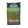 Mosser Lee 325 sq in. Soil Cover Sheet Moss