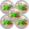 Austin Planter 5 in. Clear Saucer - Pack of 5