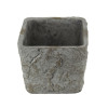 Cheungs 5 lbs Square Tapered Cement Planter