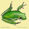 Betsy Drake Green Tree Frog Door Mat 18 x26