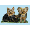 Betsy Drake Yorkies Door Mat 30 x50