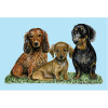 Betsy Drake Dachshunds Door Mat 30 x50