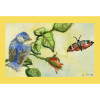 Betsy Drake Bluebird Door Mat 30 x50