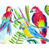 Betsy Drake Three Parrots Place Mat - Set of 4