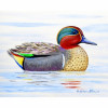 Betsy Drake Green Wing Teal Place Mat - Set of 4