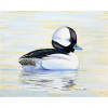 Betsy Drake 18 x 26 in. Bufflehead Duck Doormat