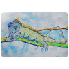 Betsy Drake Iguana Door Mat - 30 x 50 in.