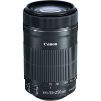 Canon 8546B002 EF-S 55-250MM F/4-5.6 IS STM *CONSTRAINED*