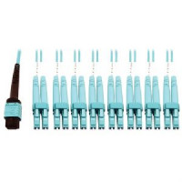 Eaton N846D-01M-24CAQ EATON TRIPP LITE SERIES 400G MULTIMODE 50/125 OM4 PLENUM FIBER OPTIC BREAKOUT CA