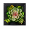 Hanging Succulent Wall Decor Plastic