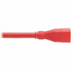 Eaton P036-002-ARD POWER EXTENSION CORD C20 C19 HEAVY-DUTY 20A 250V 12 AWG RED 2FT
