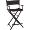 JL009 - 29 in. Black Aluminum Director Chair