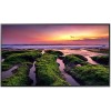 Samsung QB55C 55IN COMMERCIAL 4K UHD DISPLAY 350 NIT TAA