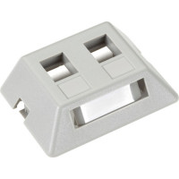 Black Box WPT461-MF MODULAR FURNITURE WALLPLATE - 2-PORT, GR