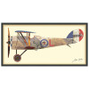 Empire Art Direct 'Antique Biplane #1' Alex Zeng's dimensional collage, under glass & a black shadow box frame