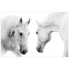 Empire Art Direct Reflection Frameless Free Floating Tempered Glass Panel Graphic Wall Art