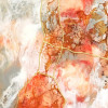 Empire Art Direct Frameless Free Floating Tempered Glass Art by EAD Art Coop - Coral Lace 2